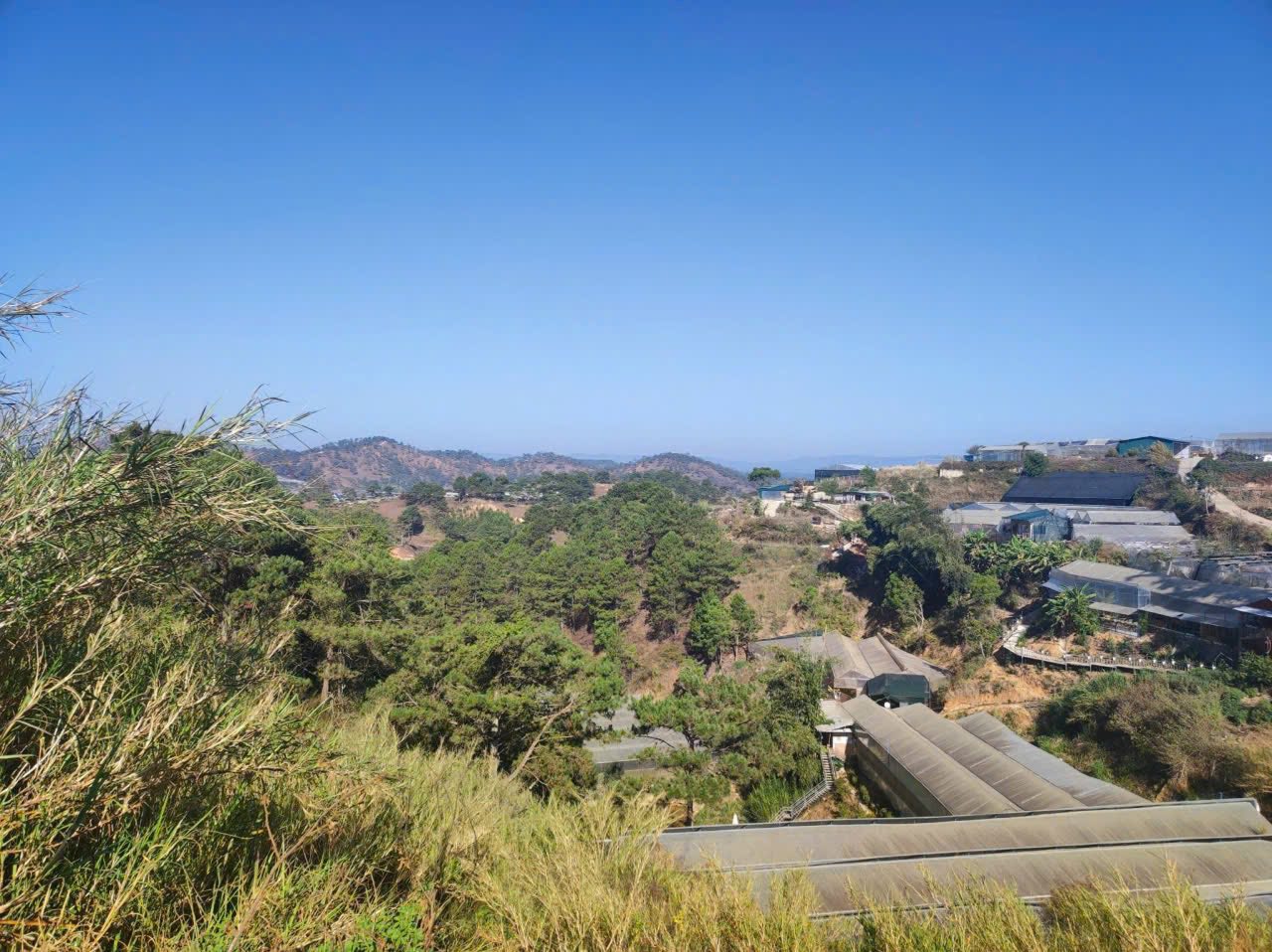Giảm Giá Bán Gấp Lô Đất Rộng View Đẹp đường Nguyễn Hoàng, Đà Lạt 2780m2 4