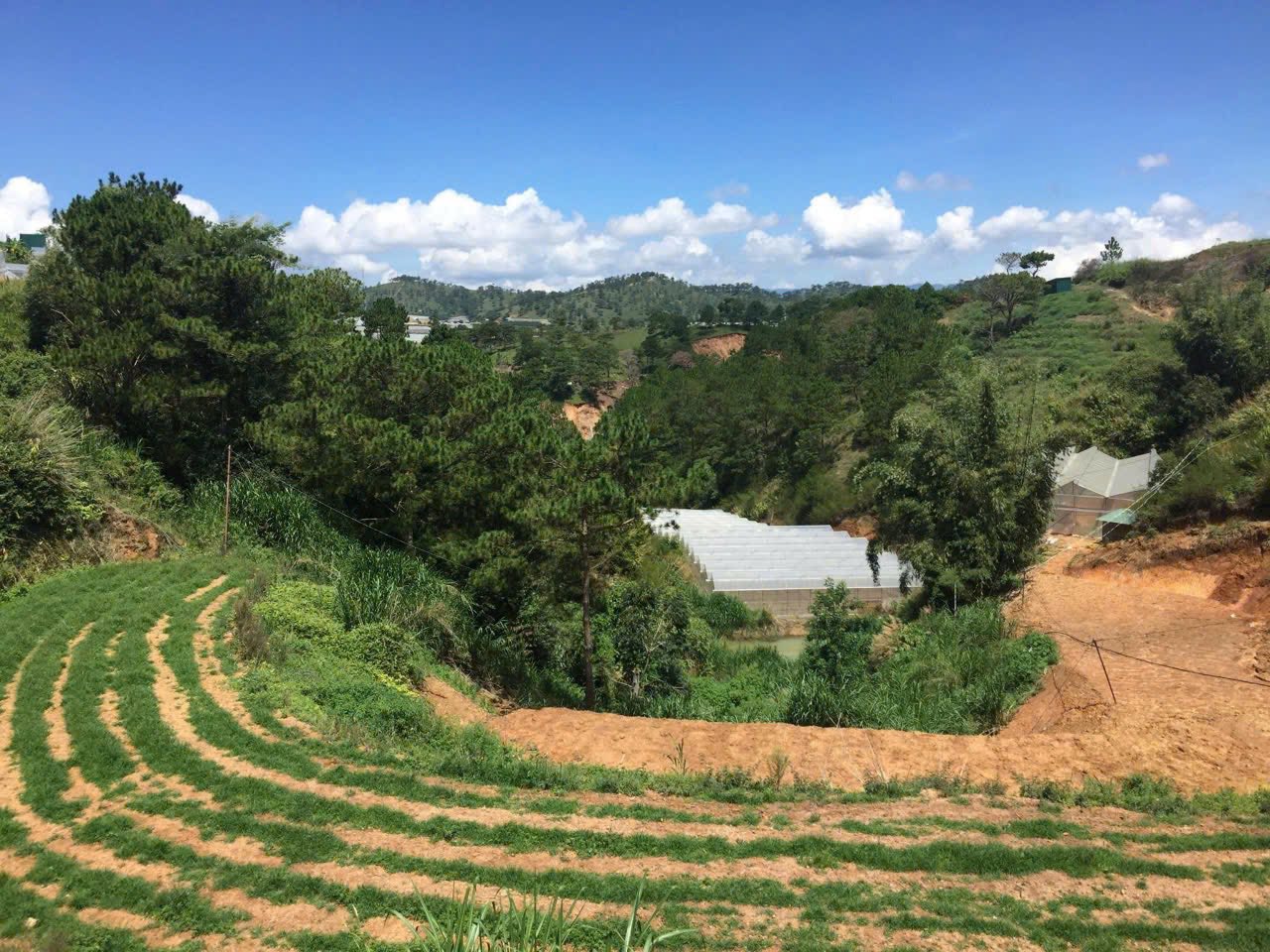 Giảm Giá Bán Gấp Lô Đất Rộng View Đẹp đường Nguyễn Hoàng, Đà Lạt 2780m2