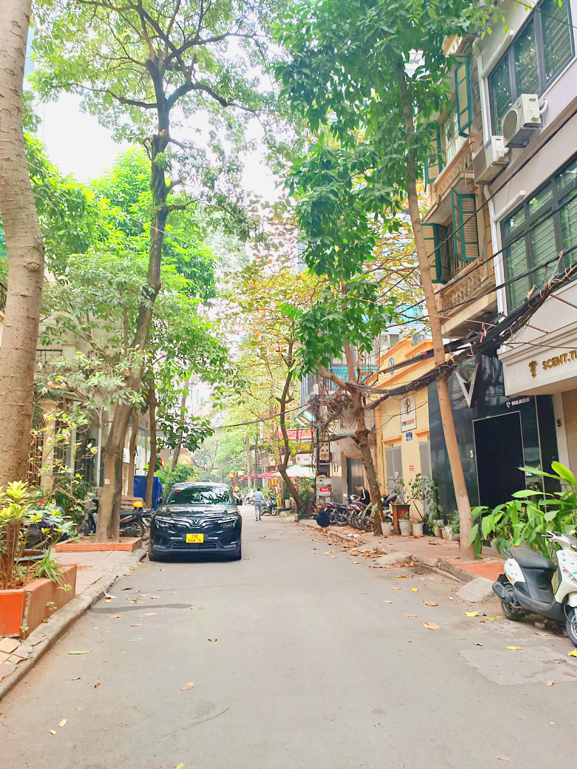 Vài bước ra hồ Hoàng Cầu, ô tô đỗ cửa, kinh doanh phố Trần Quang Diệu. 53m² x 5T MT 4.7m – 18,9 tỷ 2