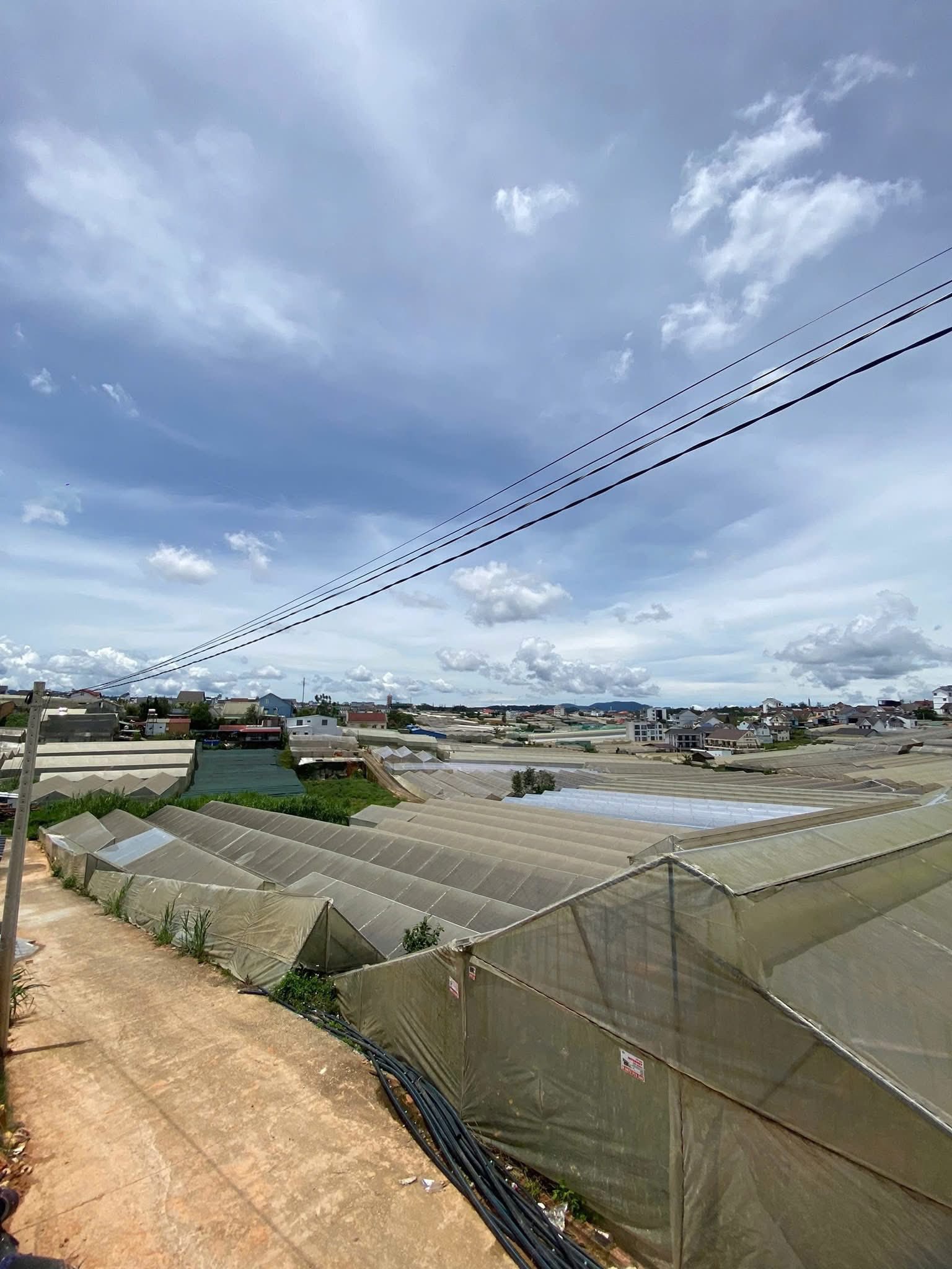 HẠ GIÁ BÁN GẤP ĐẤT BIỆT THỰ VIEW THOÁNG ĐƯỜNG TRẦN ĐẠI NGHĨA, ĐÀ LẠT 200M2 GIÁ 7.48 TỶ 3