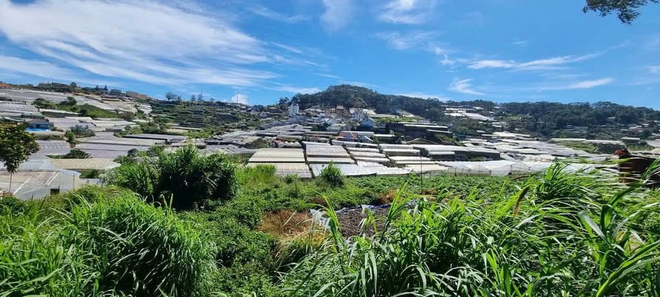 BÁN GẤP ĐẤT NỀN BIỆT THỰ ĐÀ LẠT GIÁ TỐT ĐƯỜNG TRỊNH HOÀI ĐỨC, 200m2 GIÁ CHỈ 6.4 TỶ 3