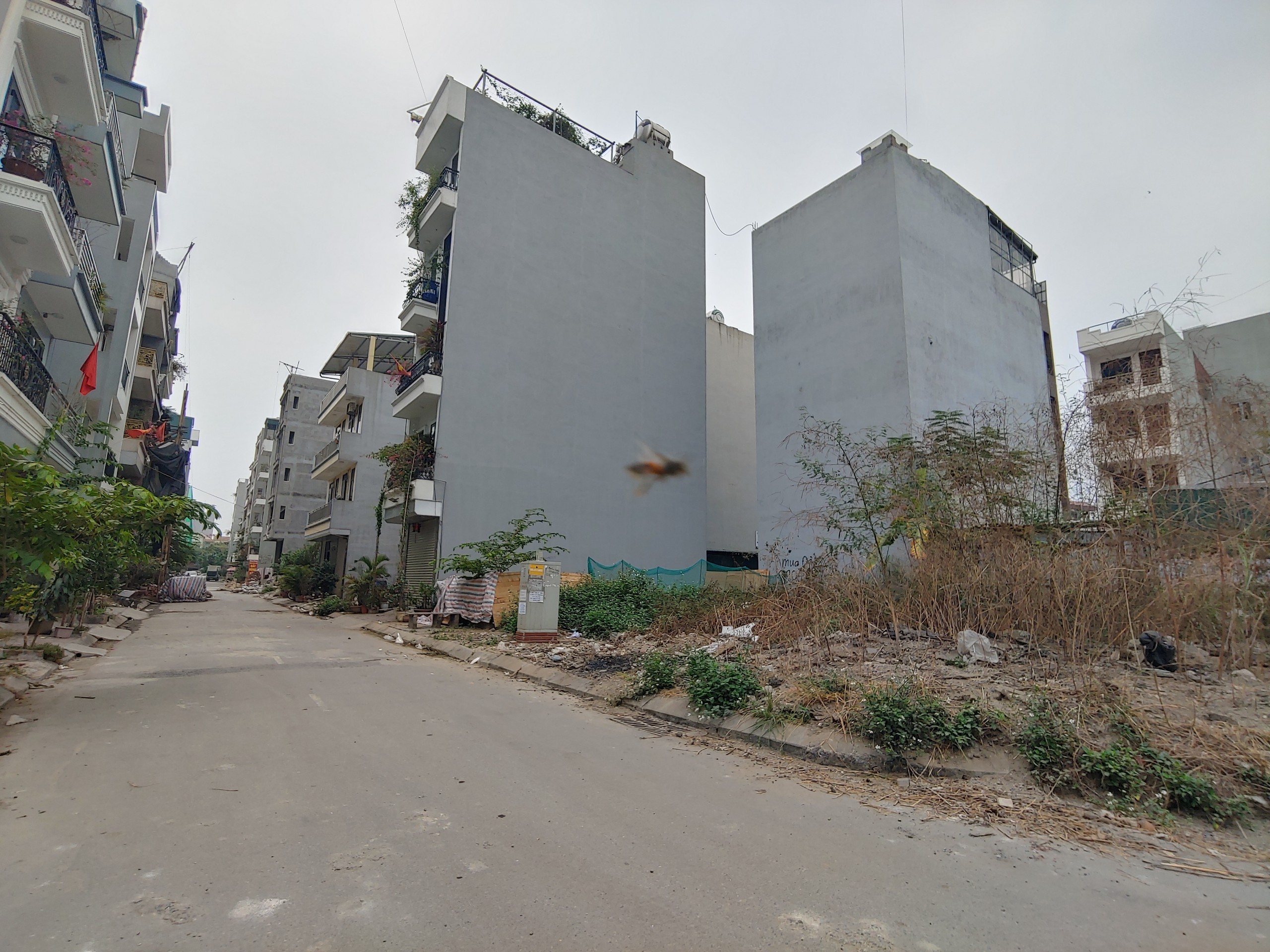 CẦN TIỀN BÁN 62m2 ĐẤT DỊCH VỤ BỒ CÂU LAI XÁ – KIM CHUNG HOÀI ĐỨC(Sdt liên hệ: 0915458886) 2