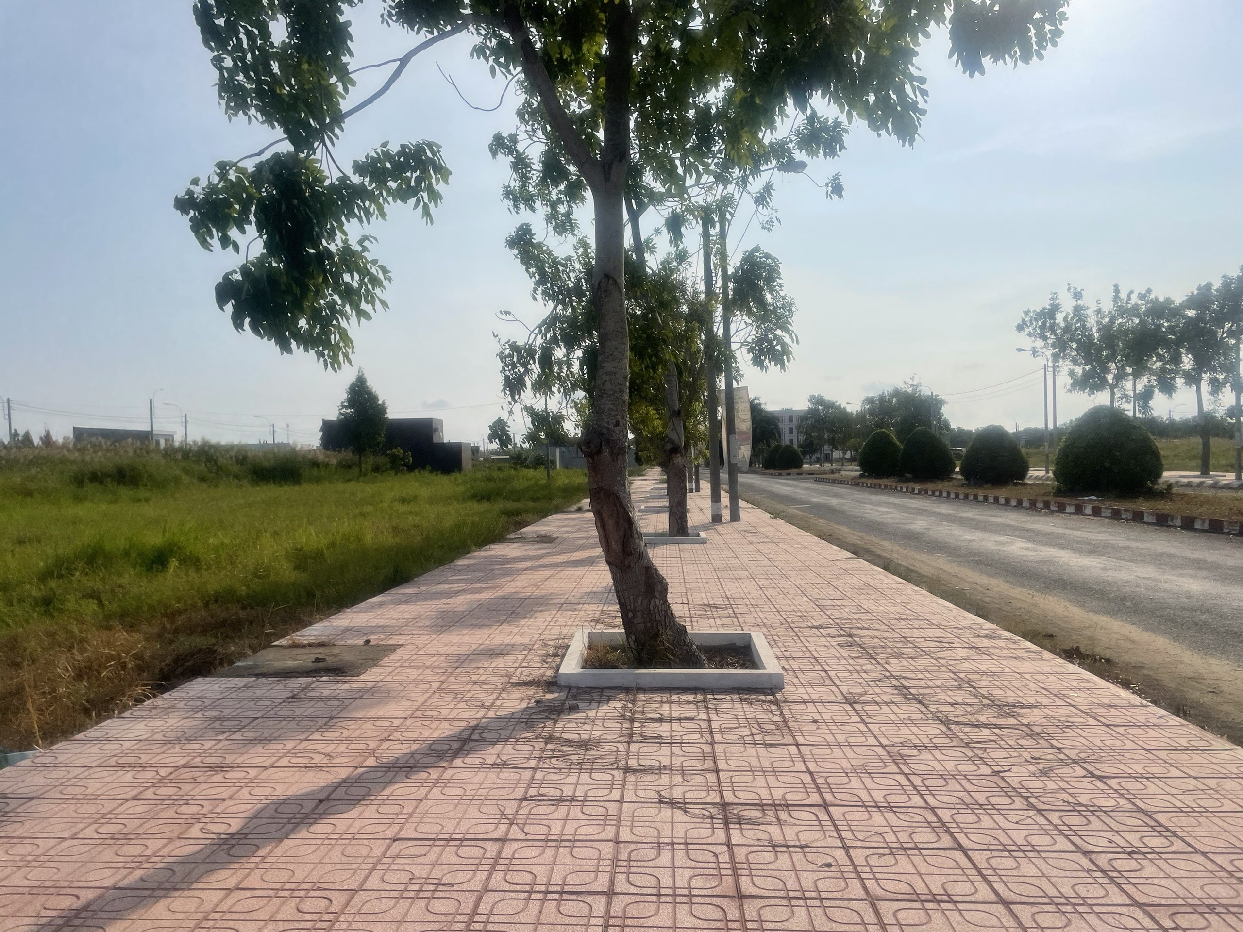Nền ngộp 100m2 kdc Phước Đông Chủ cần bán gấp 800tr 3