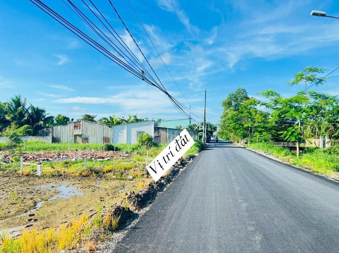 Siêu phẩm nhà vườn 1300m2 mt đường nhựa 19/5 xã Tân Lân giá siêu rẻ 3 tỏi 500tr 3