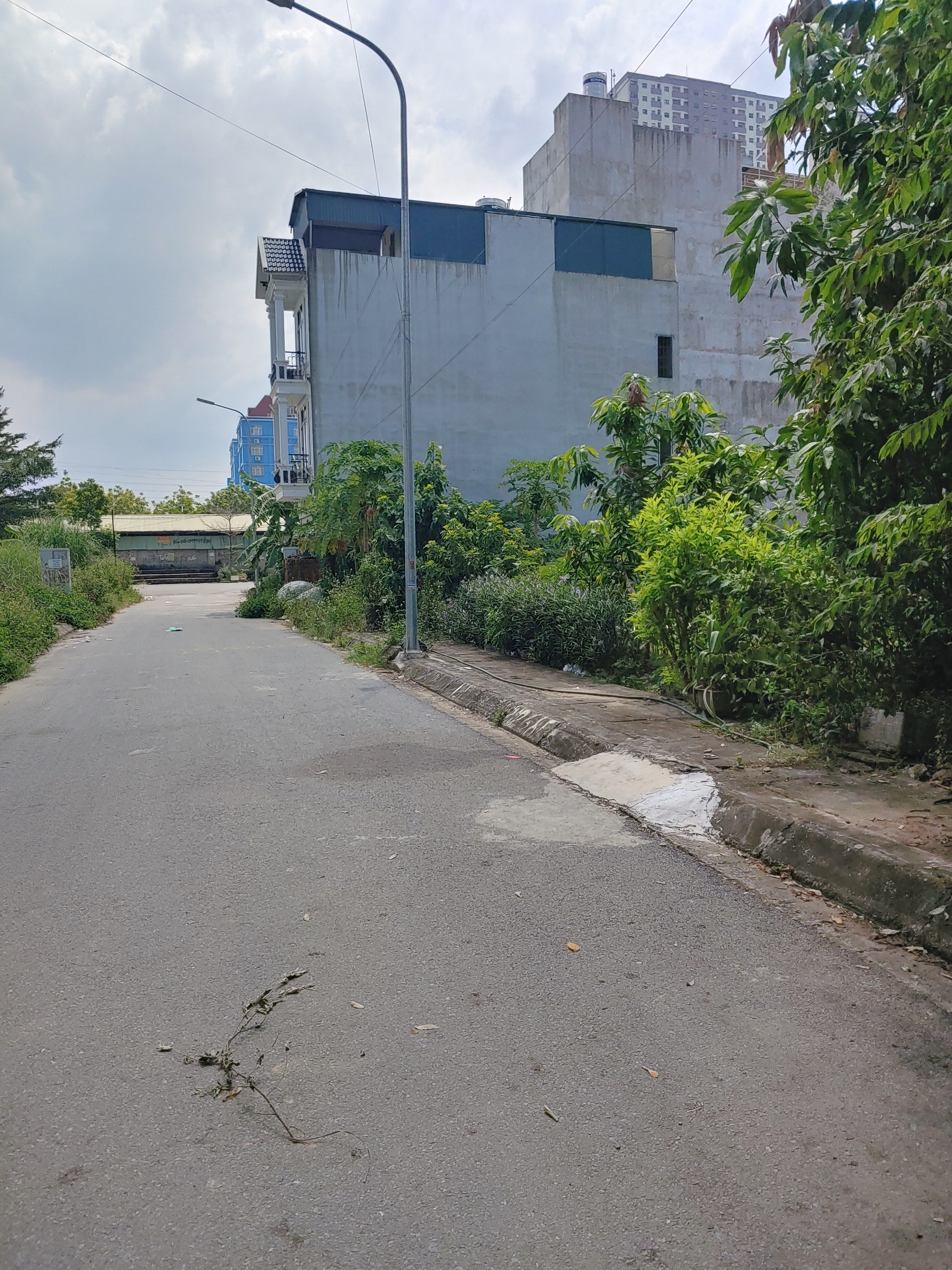 BÁN 116,7 M2 ĐẤT DỊCH VỤ LAI XÁ – KIM CHUNG- HOÀI ĐỨC(Sdt liên hệ: 0915458886) 3