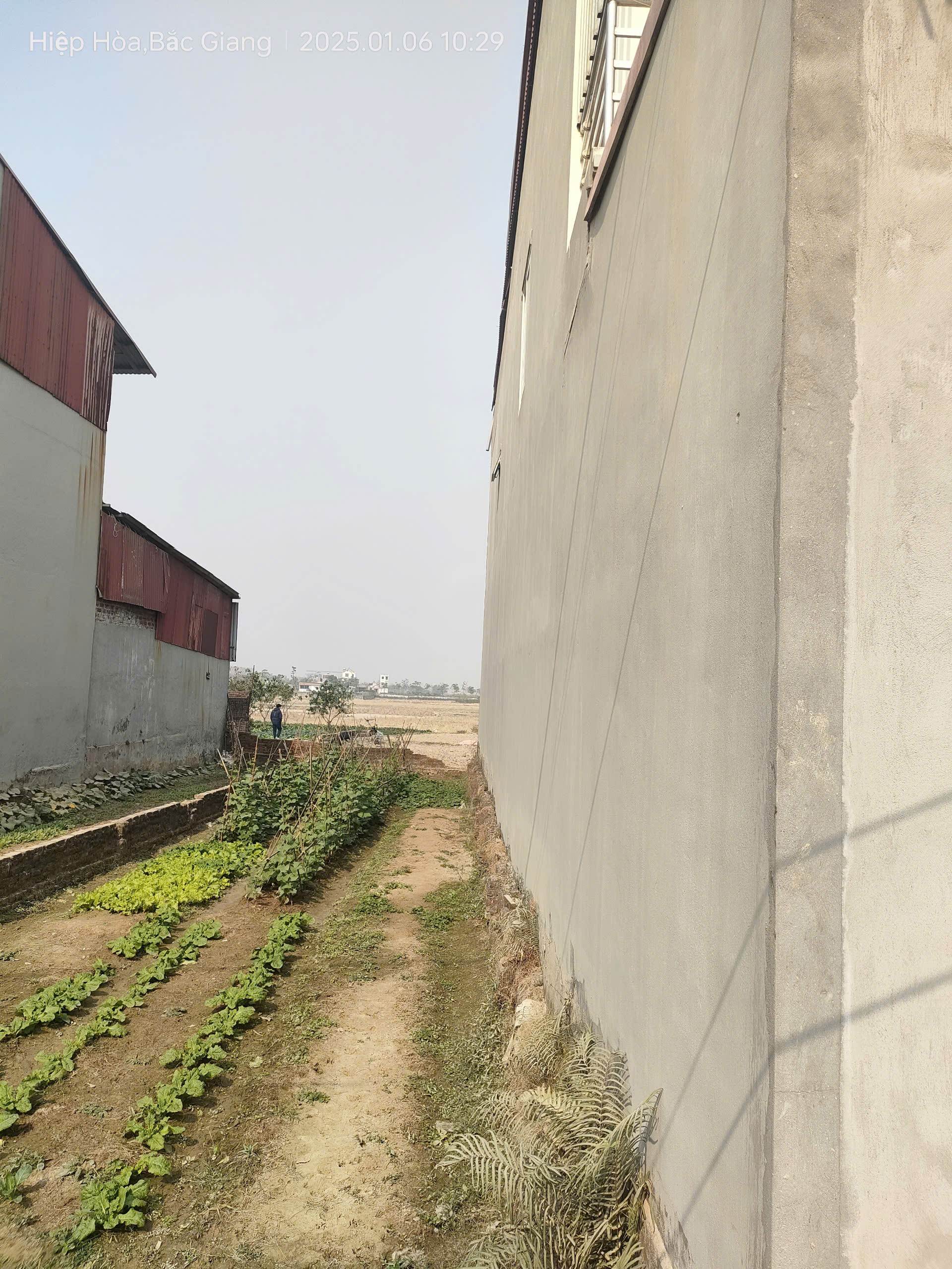 Bán gấp giá rẻ Việt Hùng 96m, đất, mặt tiền 5.5m, 890 triệu Hiệp Hòa, Bắc Giang. 2