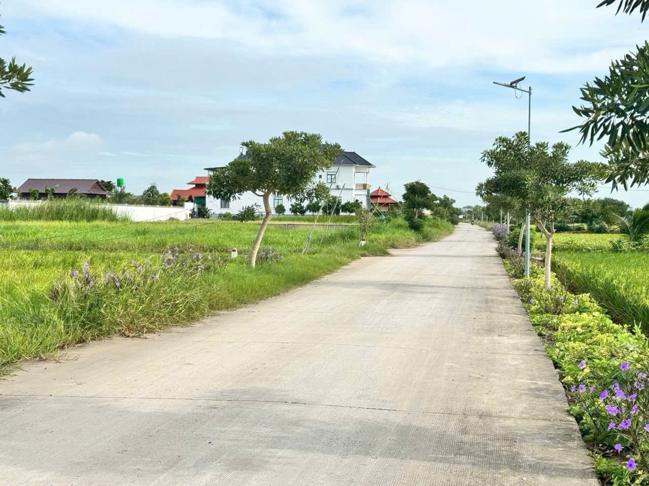 Đất thổ cư 351m2 mt đường 7 mét xã Phước Đông giá rẻ đầu tư 1 tỏi 5 4