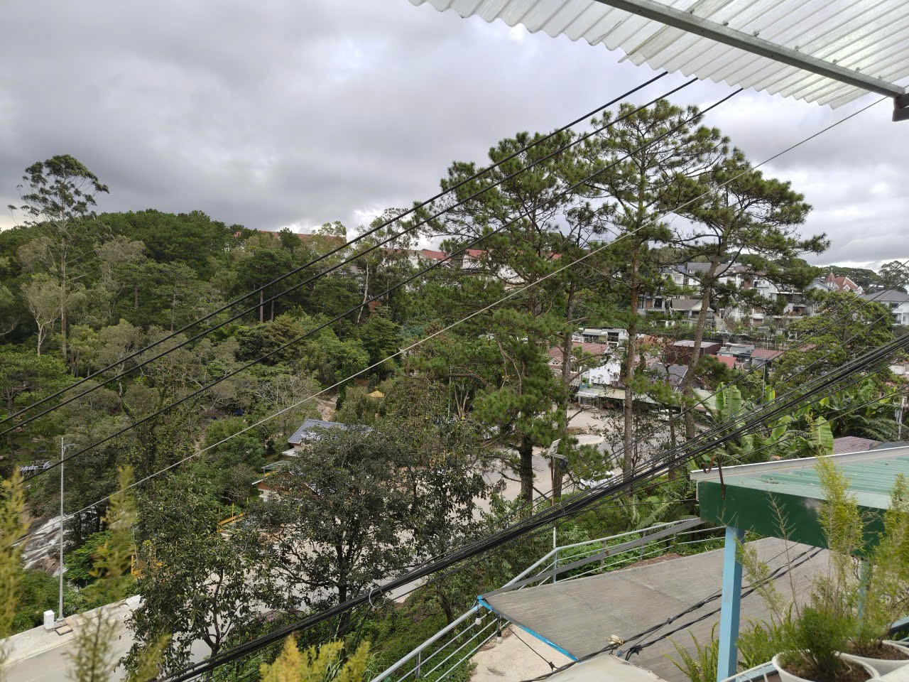 Bán Homestay Dalat p5 Mini Giá 1 Tỷ 650 4