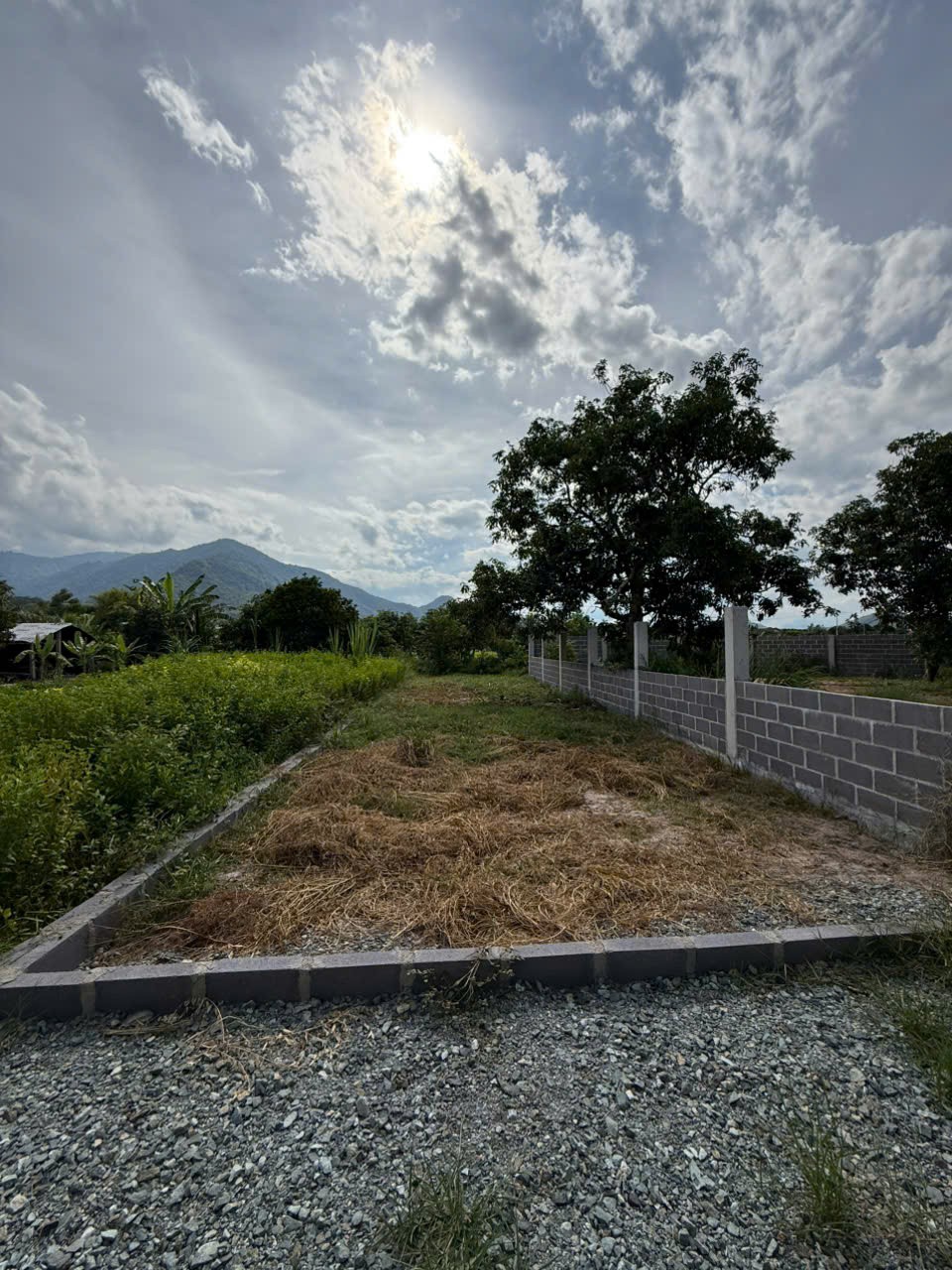 Đất full thổ cư , đường ô tô tận nơi giá rẻ . diện tích 130 m2 3