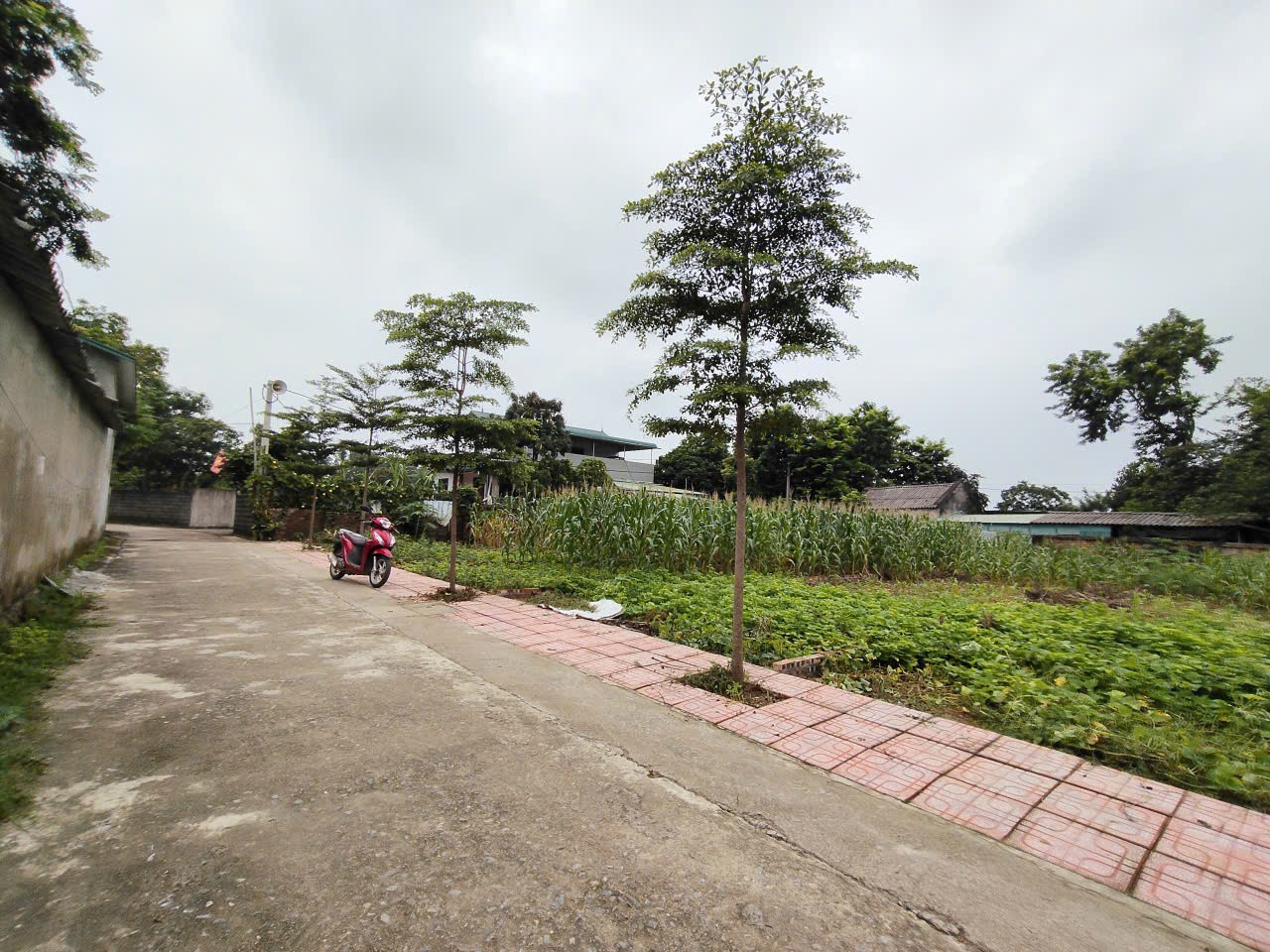 Chính Chủ Gửi Bán 144 m 50 thổ cư  chỉ 1, x tỷNhuận Trạch Lương Sơn -HB (PHÚ THỌ MỚI) 3