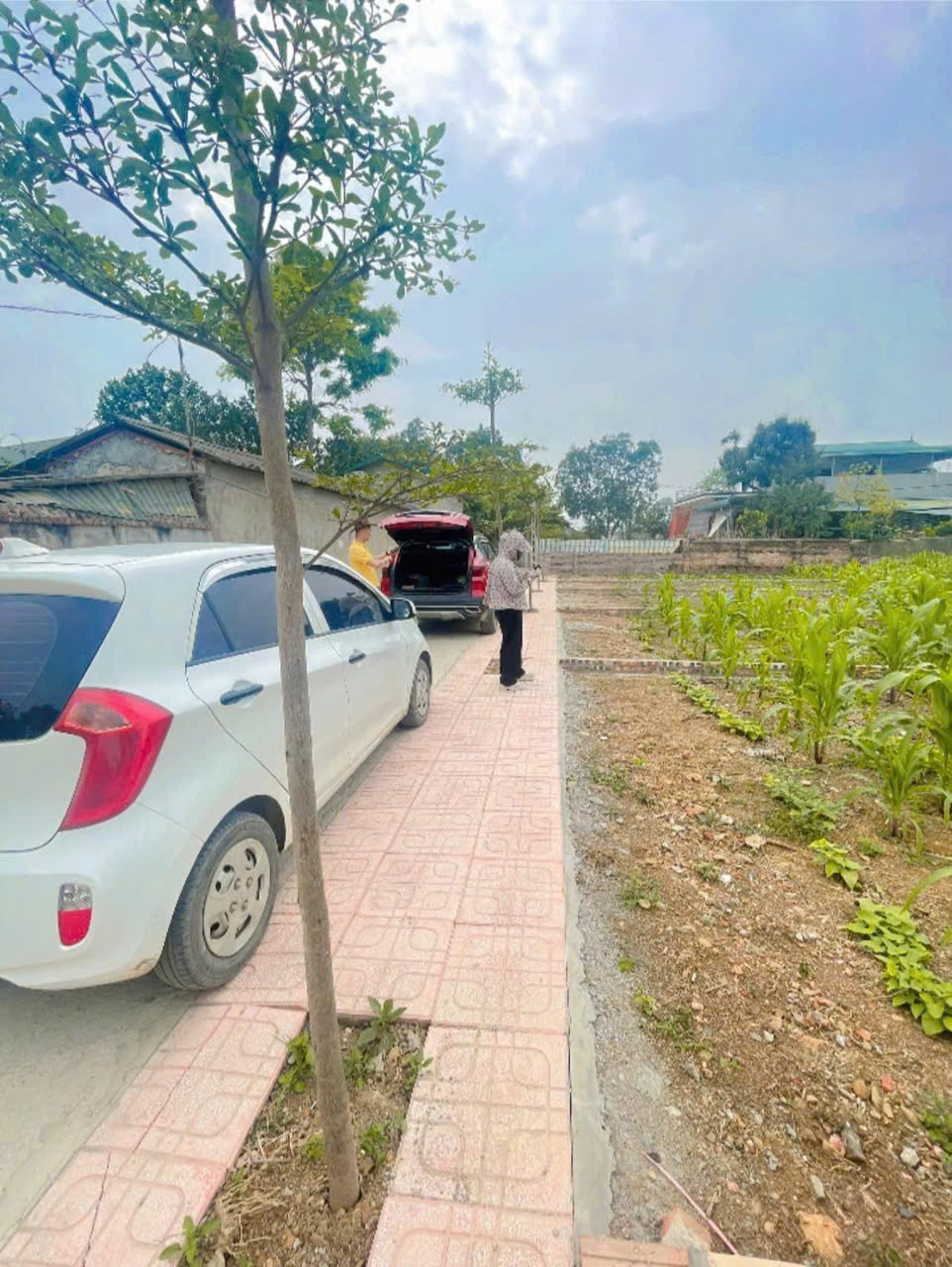 Chính Chủ Gửi Bán 144 m 50 thổ cư  chỉ 1, x tỷNhuận Trạch Lương Sơn -HB (PHÚ THỌ MỚI) 2