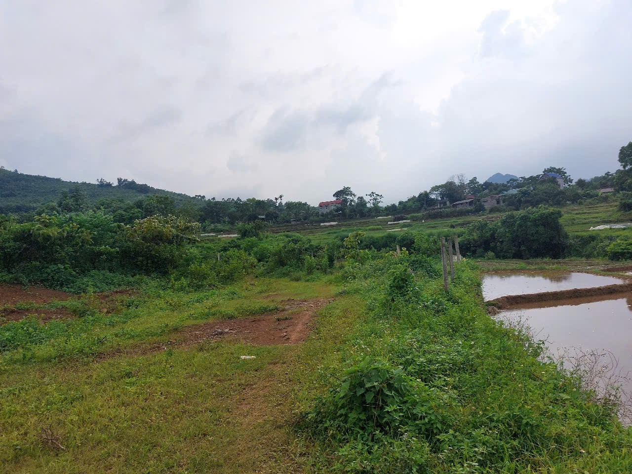 CHÍNH CHỦ CẦN BÁN  2,5 ha ĐẤT BÁM SUỐI VIEW SIÊU ĐEP TẠI LƯƠNG SƠN – PHÚ THỌ