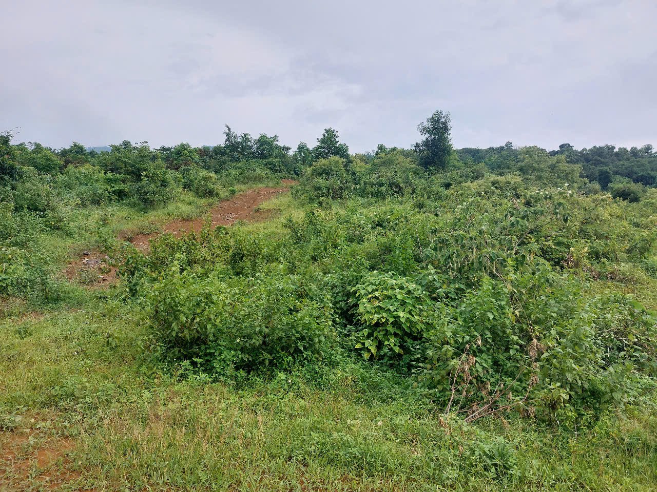 CHÍNH CHỦ CẦN BÁN  2,5 ha ĐẤT BÁM SUỐI VIEW SIÊU ĐEP TẠI LƯƠNG SƠN – PHÚ THỌ 3