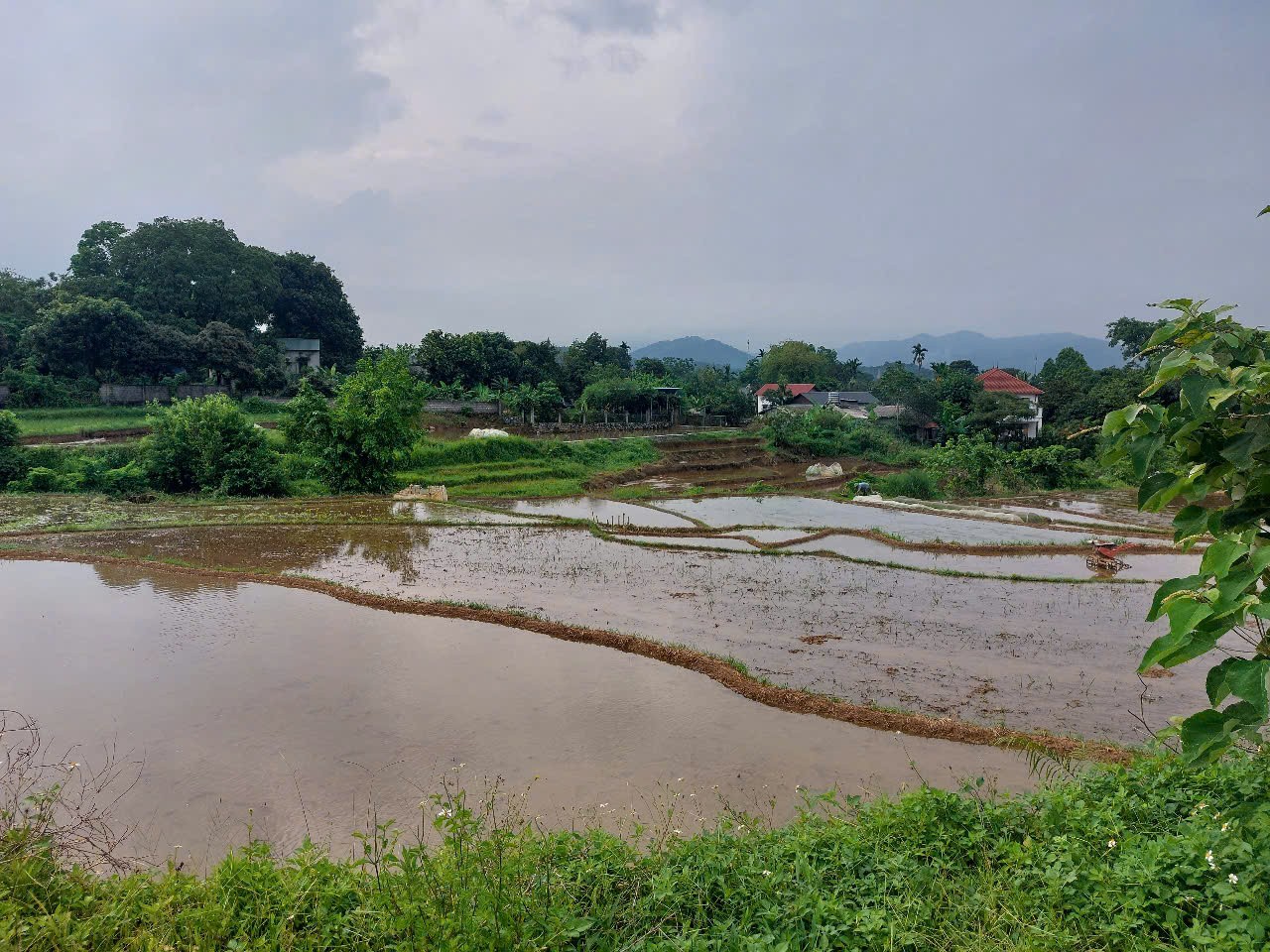 CHÍNH CHỦ CẦN BÁN  2,5 ha ĐẤT BÁM SUỐI VIEW SIÊU ĐEP TẠI LƯƠNG SƠN – PHÚ THỌ 4