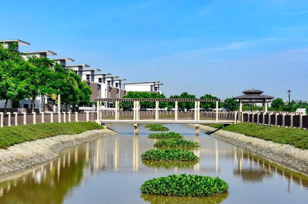 Cần bán Biệt thự Phường Phú Hữu, Quận 9, Diện tích 469m², Giá 55 Tỷ