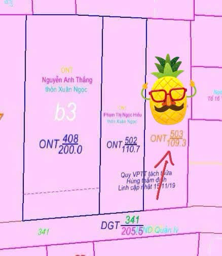 BÁN NHÀ CẤP 4 (kèm tặng 3 phòng trọ) THÔN XUÂN NGỌC, VĨNH NGỌC. 3