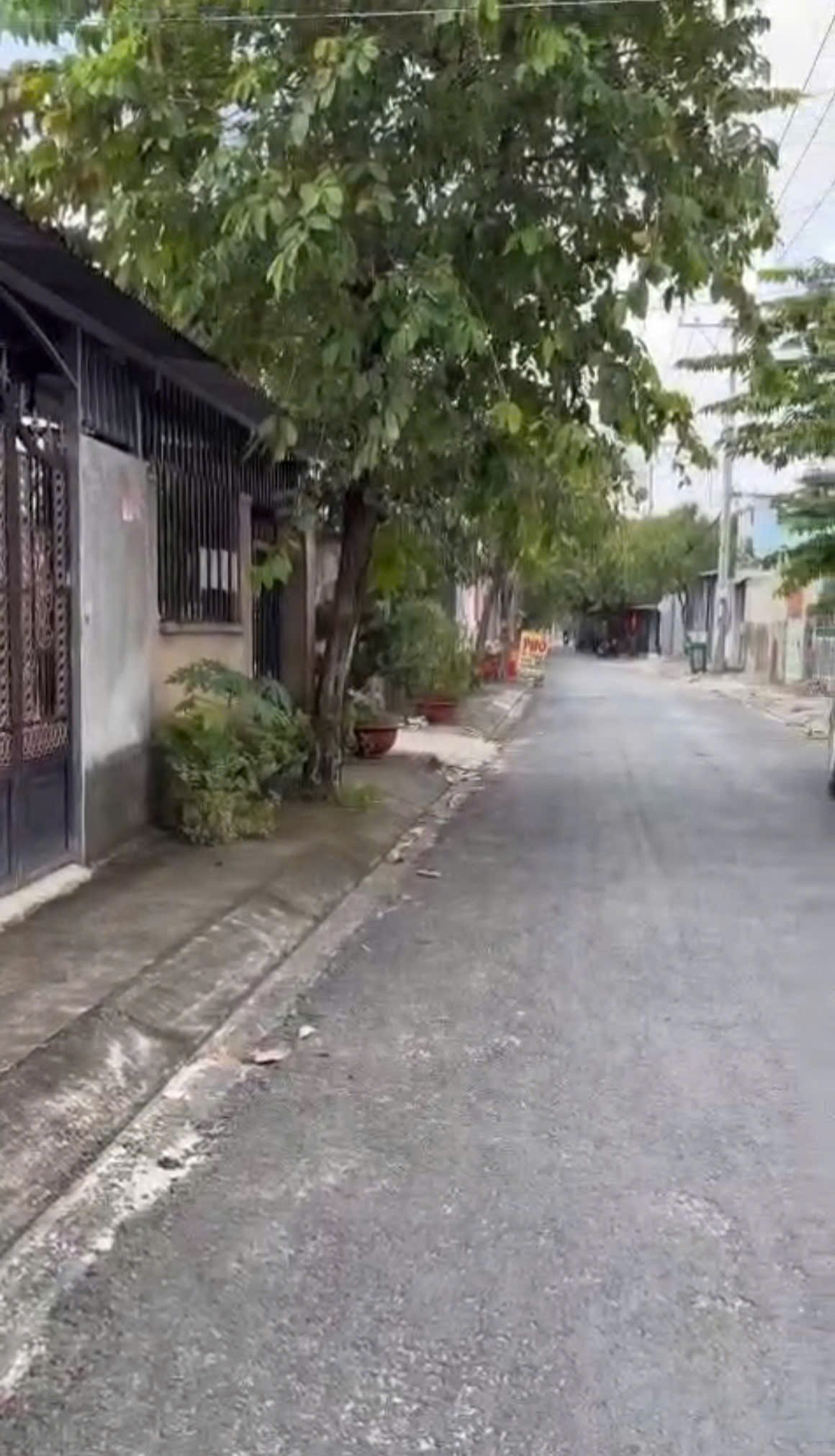 SIÊU PHẨM ĐẤT (3.000M) MẶT TIỀN ĐÔNG THẠNH 05, HÓC MÔN 3