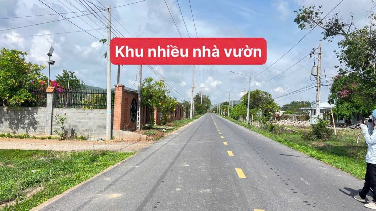 HÀNG NGỘP – BÁN GẤP ĐẤT THỔ CƯ GẦN KHU BIỆT THỰ PHAN GIA, PHƯỚC HẢI