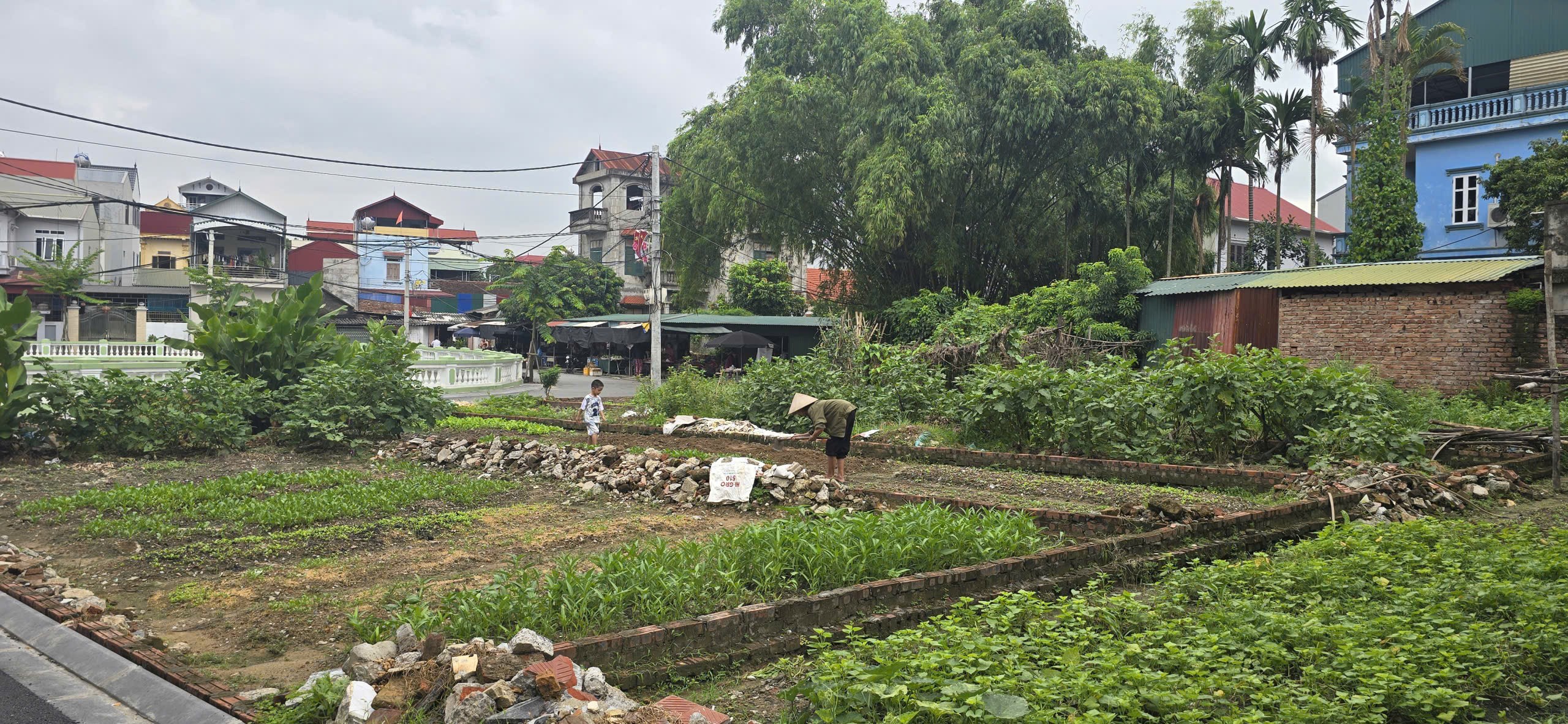 Bán đất mặt Hồ Gia Lộc - Gia Lương, xã Việt Hùng, Đông Anh - Nay là xã Thư Lâm, Thành phố Hà Nội, 3