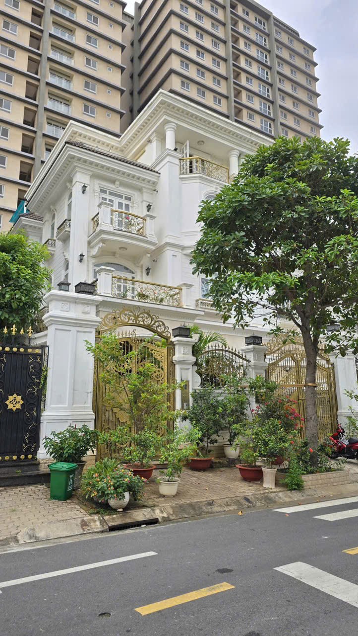 Cần bán Biệt thự Phường Tân Phú, Quận 7, Diện tích 220m², Giá 031.5 Tỷ 6