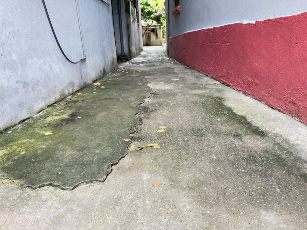 Bán đất thôn Hậu Dưỡng, Kim Chung, Đông Anh - Vị trí "vàng", gần KCN Bắc Thăng Long. 2
