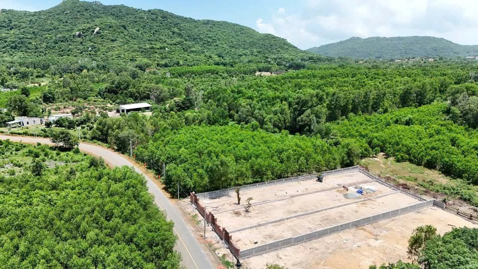 NGỘP NGÂN HÀNG – BÁN GẤP ĐẤT PHƯỚC HẢI VIEW NÚI MINH ĐẠM 3