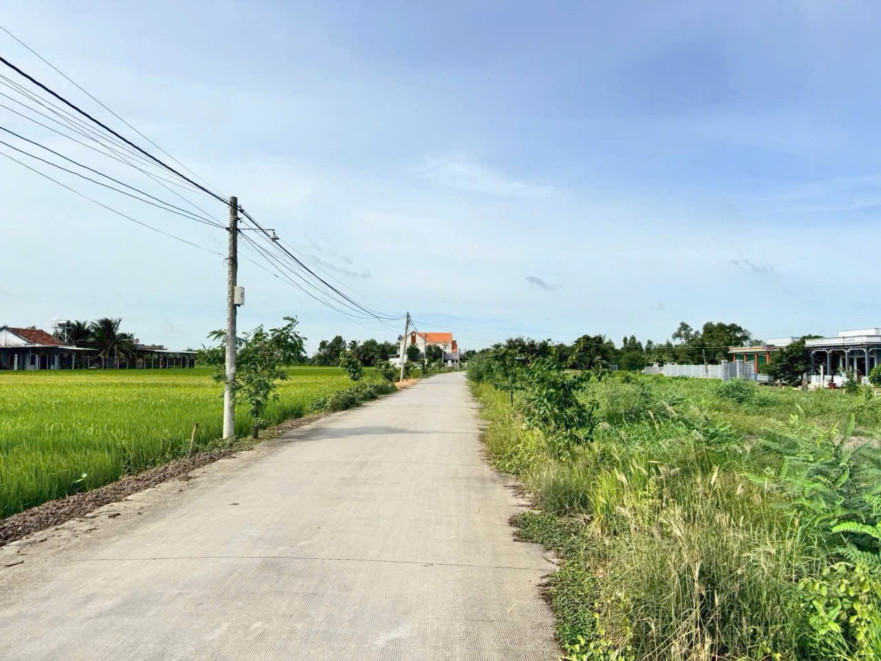 Đất thổ cư 351m2 mt đường 7 mét xã Phước Đông giá rẻ đầu tư 1 tỏi 5 2