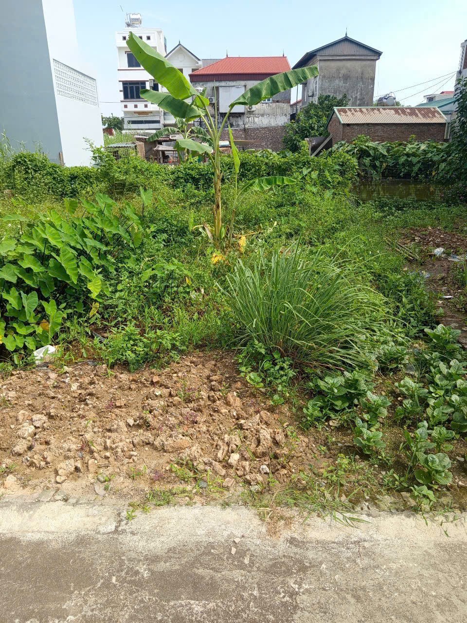 Bán đất thôn Ấp Tre (Tổ 9), Quang Minh, thành phố Hà Nội. Đường thông bàn cờ, oto đỗ 2