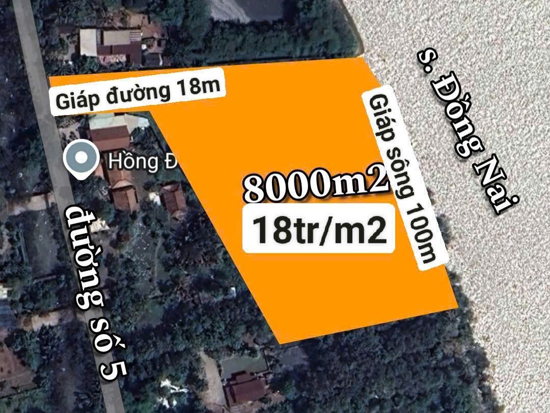 Cần bán Đất Phường Long Phước, Quận 9, Diện tích 8000m², Giá 18 Triệu/m²
