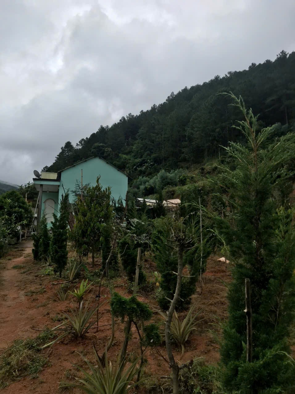 Chính chủ cần bán 1000m2 nn Tà Nung Đà Lạt - 1.3 tỷ 2