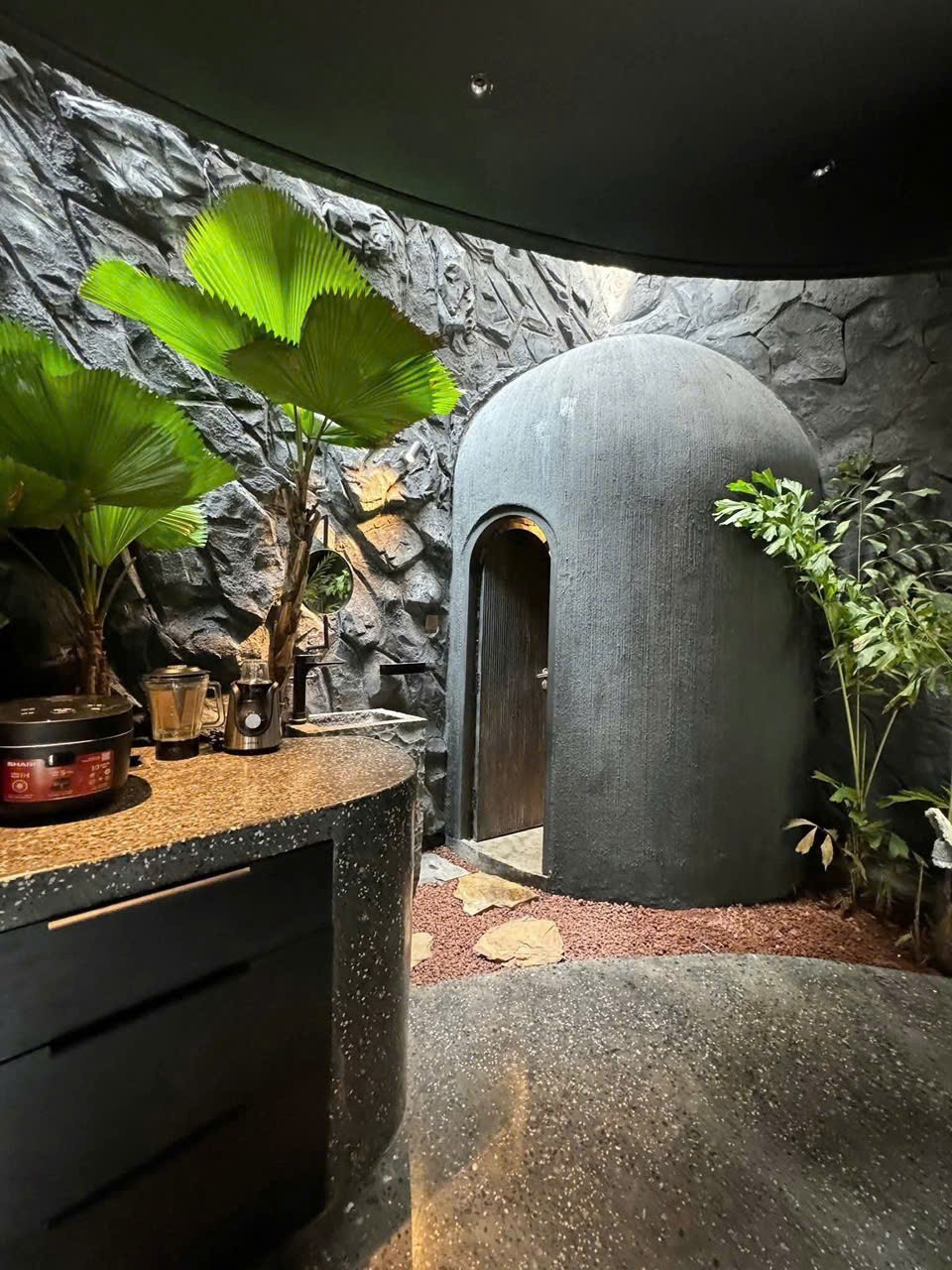 Cho thuê Biệt thự Quận 2, Hồ Chí Minh, Diện tích 250m², Giá 50 Triệu/tháng