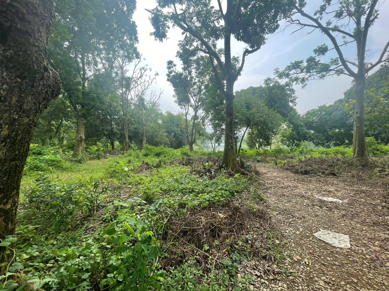 SIÊU PHẨM NGHỈ DƯỠNG VEN HỒ ĐỒNG SƯƠNG LƯƠNG SƠN ,HÒA BÌNH – GIÁ CỰC TỐT CHO NHÀ ĐẦU TƯ 3