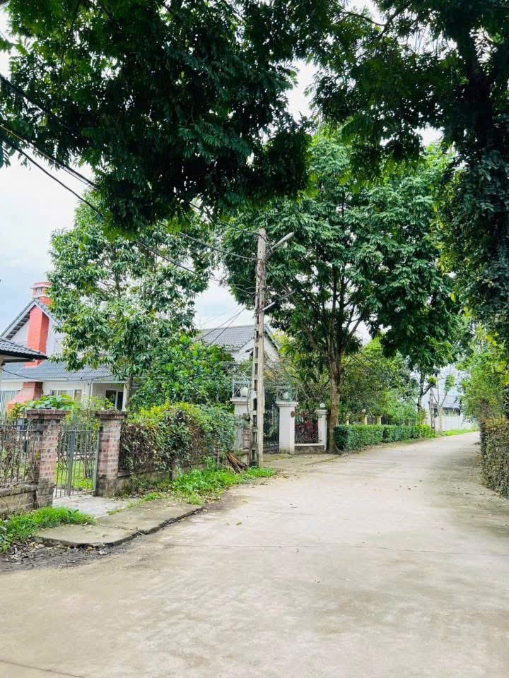 – BÁN NHANH LÔ ĐẤT TRONG KHU NGHỈ DƯỠNG ĐỒI HÀU – CƯ YÊN, LƯƠNG SƠN - HÒA BINH 3