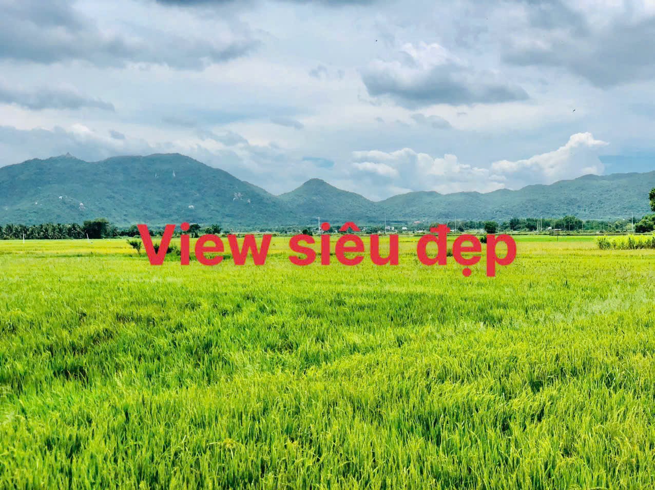 BÁN GẤP LÔ ĐẤT 491M² – GẦN BIỂN, NGAY KHU DU LỊCH HOT