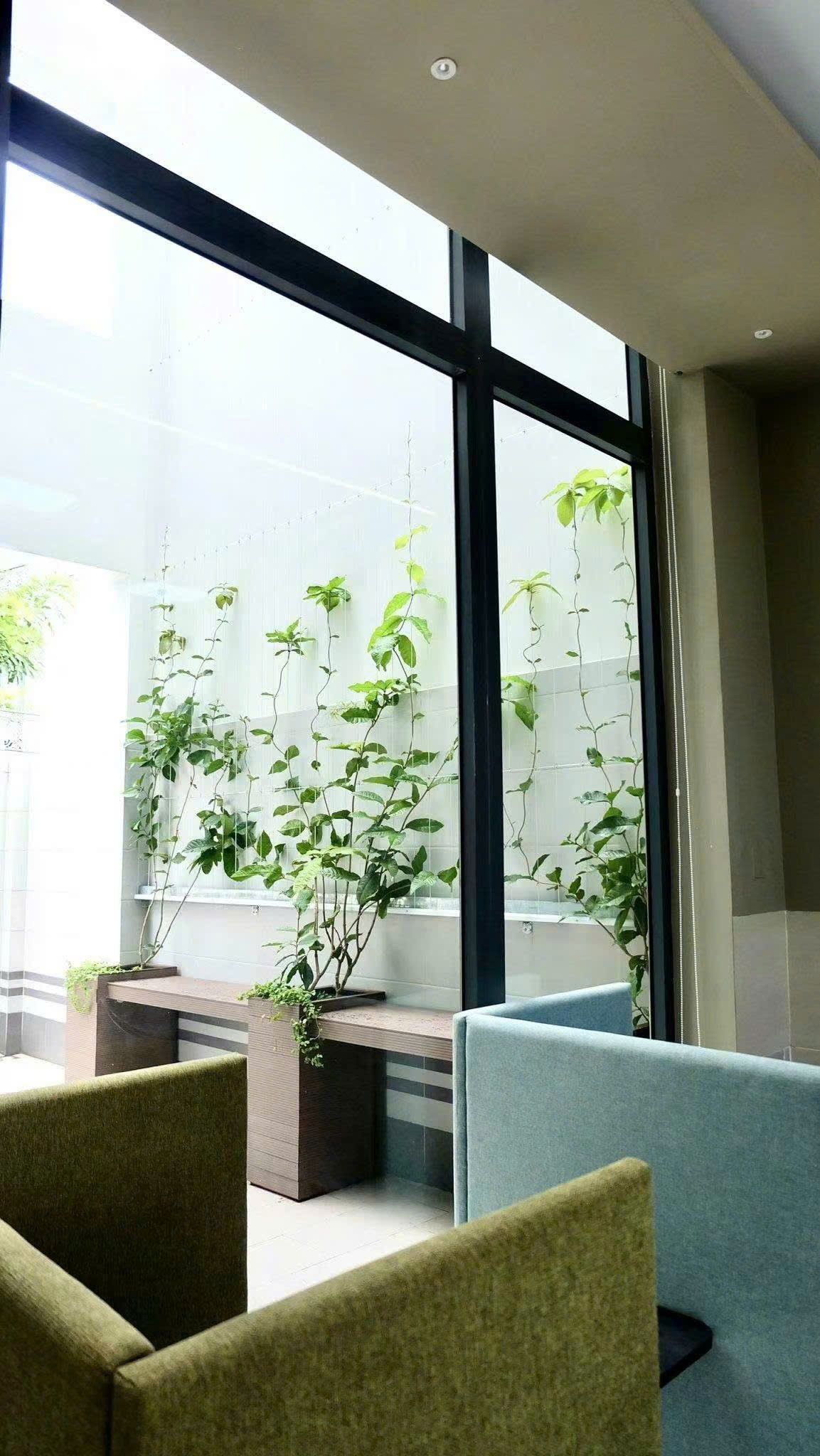 Cho thuê Nhà mặt tiền Phường An Phú, Quận 2, Diện tích 336m², Giá 100 Triệu/tháng 3