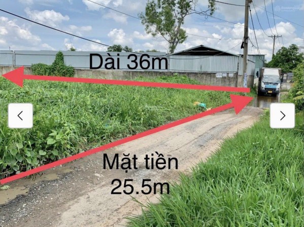 Cho thuê Kho - Nhà xưởng Phường Bình Trưng Đông, Quận 2, Diện tích 819m², Giá 22 Triệu/tháng 3