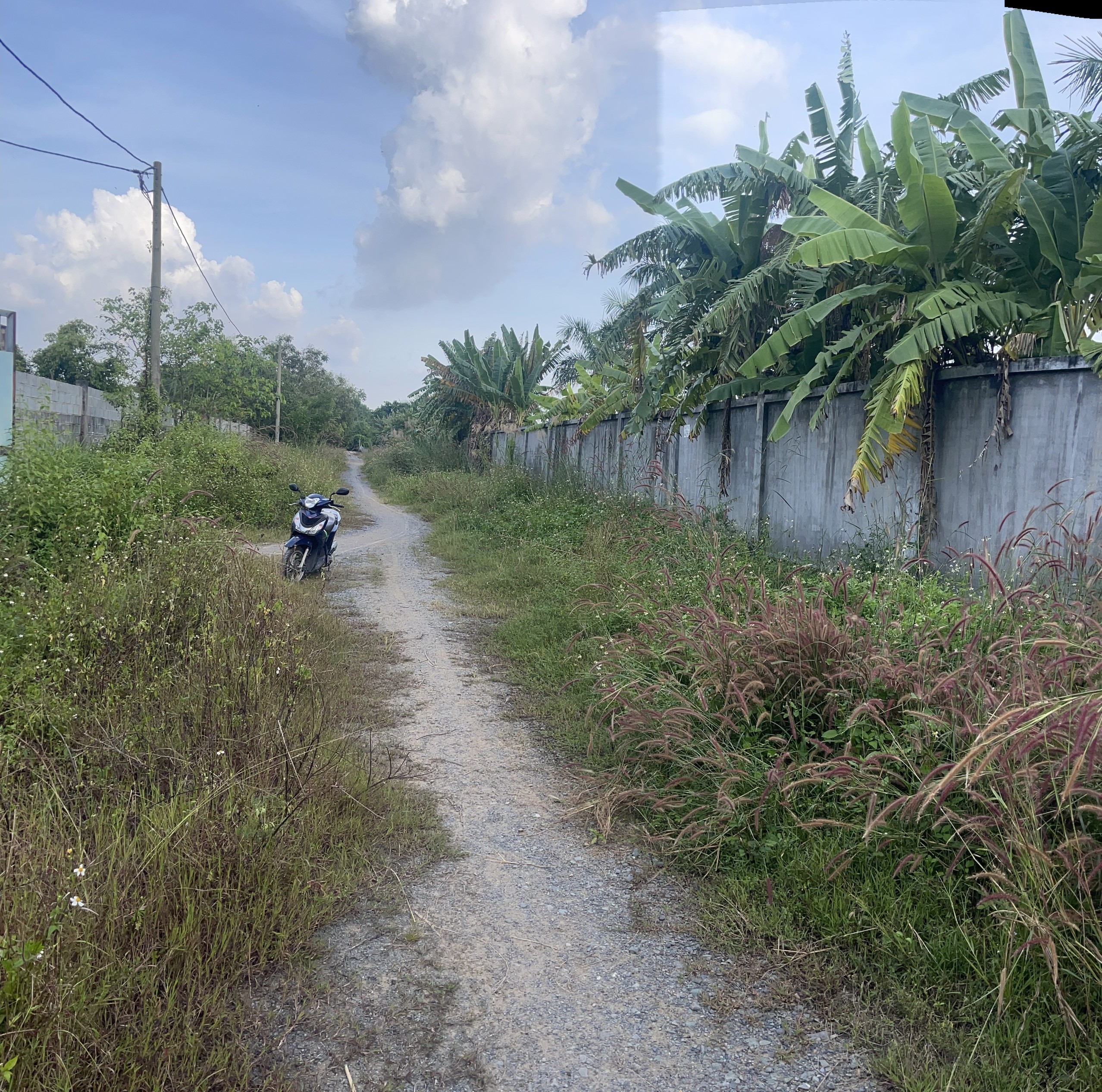 Cho thuê Đất Phường Long Phước, Quận 9, Diện tích 140000m², Giá Thương lượng 3