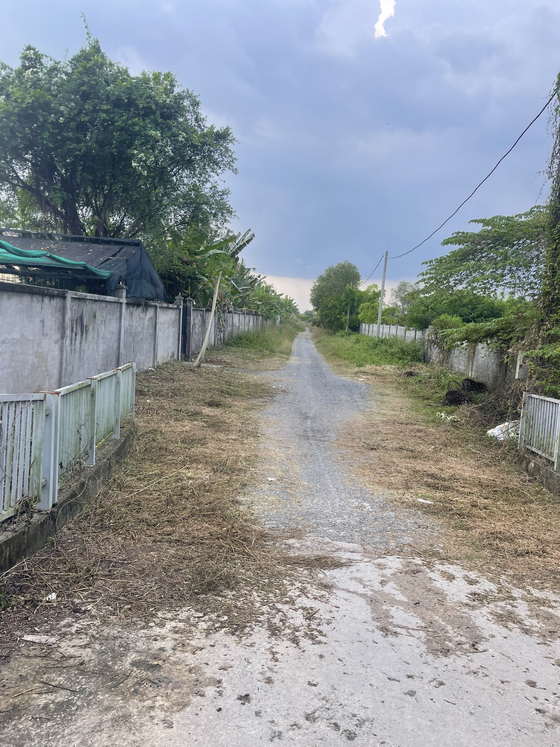 Cho thuê Đất Phường Long Phước, Quận 9, Diện tích 140000m², Giá Thương lượng