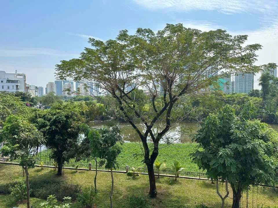 Cần bán Nhà mặt tiền Phường Tân Phong, Quận 7, Diện tích 126m², Giá 25.3 Tỷ 7