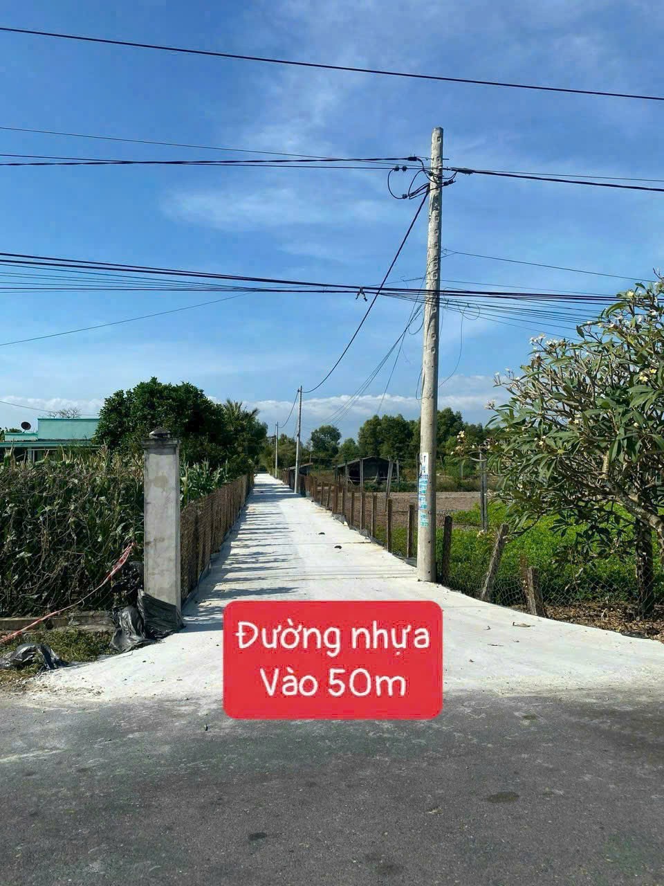 THANH LÝ NHANH – ĐẤT PHƯỚC HẢI 1.100m², GIÁ CỰC SỐC CHỈ 2 TỶ
