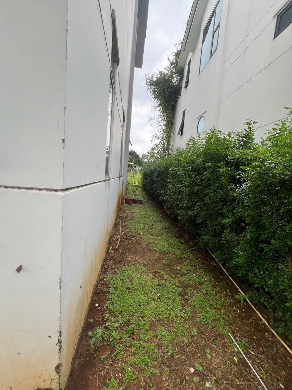 Cần bán Biệt thự Phường Phú Hữu, Quận 9, Diện tích 225m², Giá 27.9 Tỷ