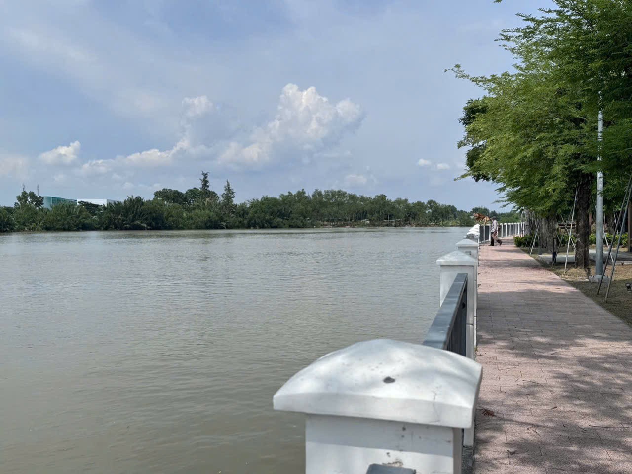 Cần bán Biệt thự Nhà Bè, Hồ Chí Minh, Diện tích 96m², Giá 12 Tỷ 5