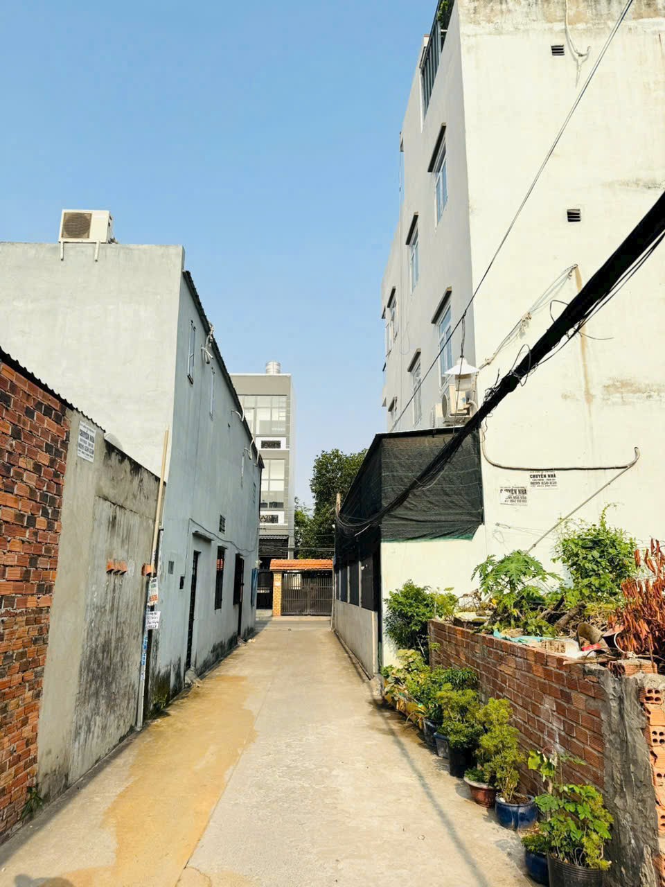 Cần bán Đất Phường Cát Lái, Quận 2, Diện tích 161m², Giá 10.5 Tỷ