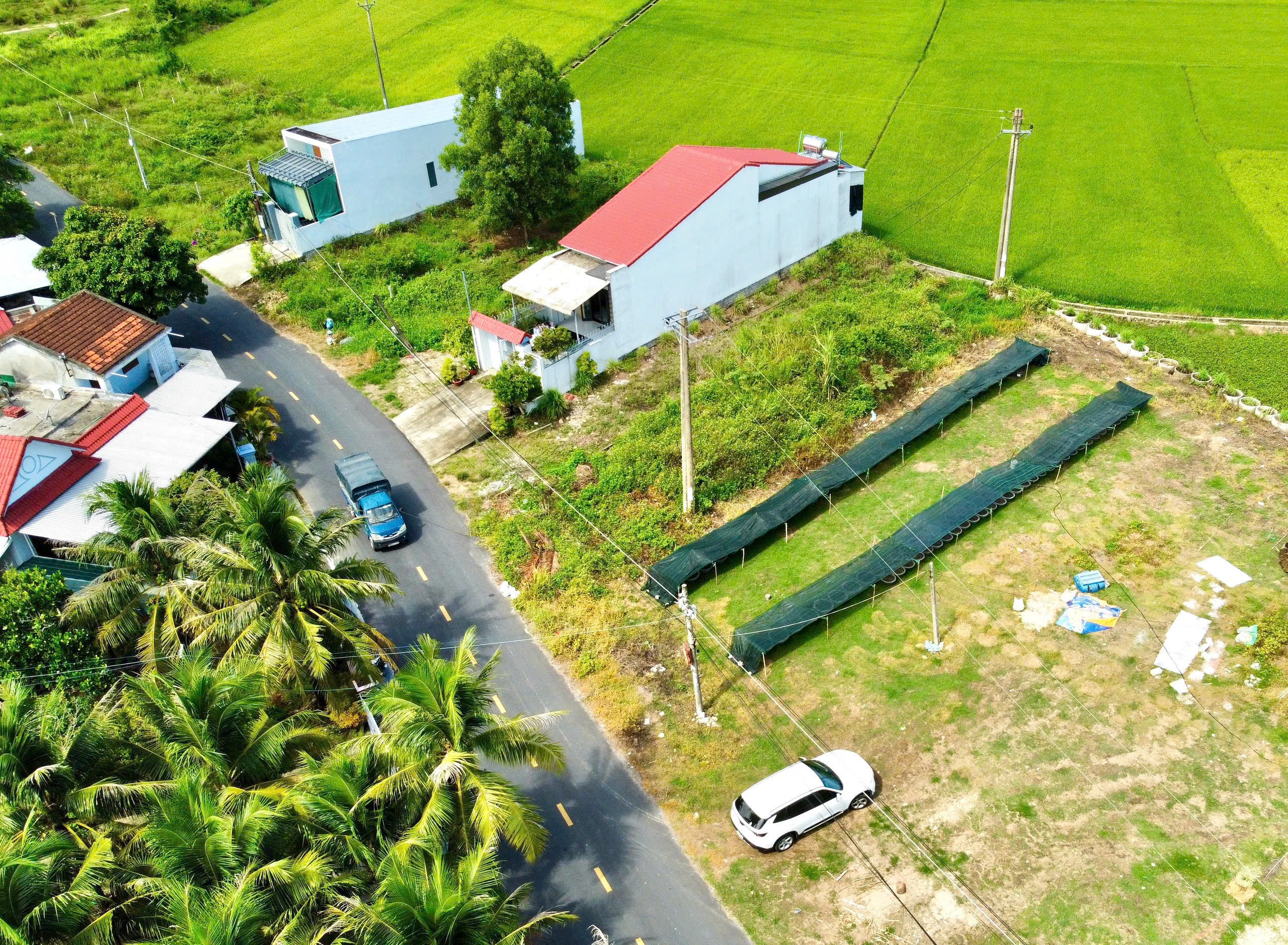 BÁN GẤP LÔ DIÊN THẠNH (Giáp sát cánh đồng thoáng mát) 3