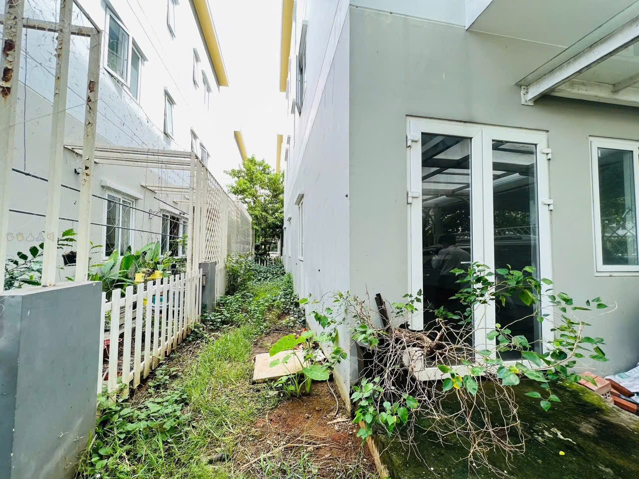 Cần bán Nhà mặt tiền Phường Phú Hữu, Quận 9, Diện tích 161m², Giá 14 Tỷ 2