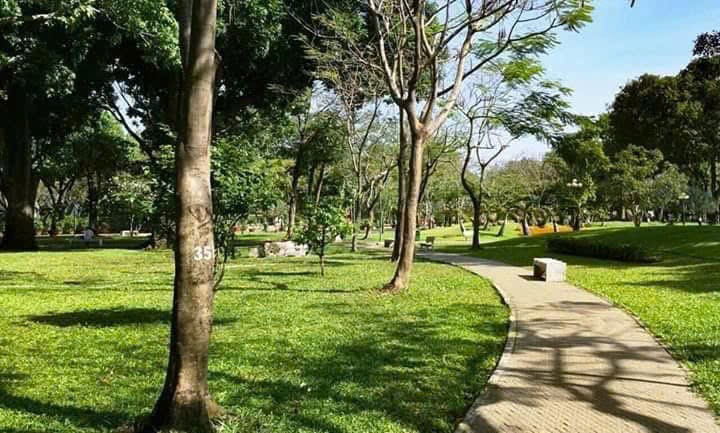 Cần bán Đất Phường Phước Long B, Quận 9, Diện tích 312m², Giá 082 Triệu/m² 6