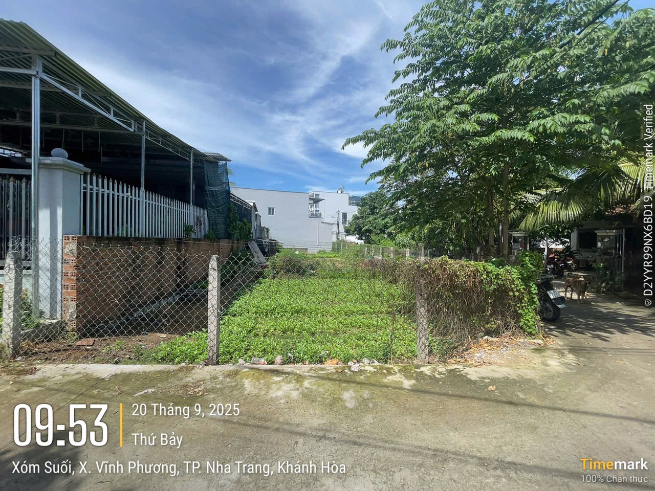 đát thổ cư góc 2 mặt tiền giá rẻ . diện tích 293 m2 giá 2 tỷ 800 , đưởng ô tô thông thoáng
