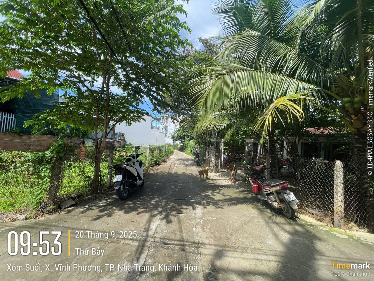 đát thổ cư góc 2 mặt tiền giá rẻ . diện tích 293 m2 giá 2 tỷ 800 , đưởng ô tô thông thoáng 3