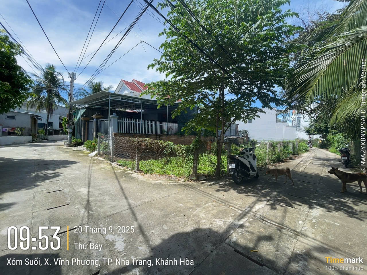 đát thổ cư góc 2 mặt tiền giá rẻ . diện tích 293 m2 giá 2 tỷ 800 , đưởng ô tô thông thoáng 4