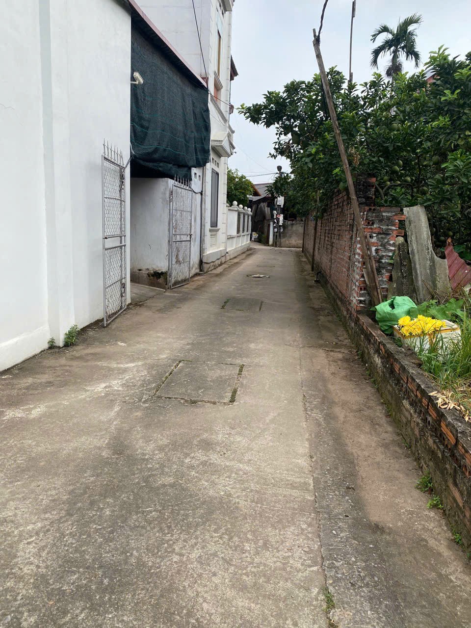 Bán 50m đất Tráng Việt, Mê Linh, HN. Đường thông, oto đỗ đất. Gần dự án cầu Thượng Cát 3